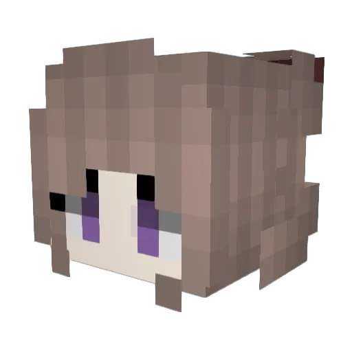 Lucas29870 Minecraft avatar head, 3D render
