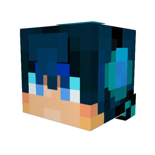 Lucas4231 Minecraft avatar head, 3D render