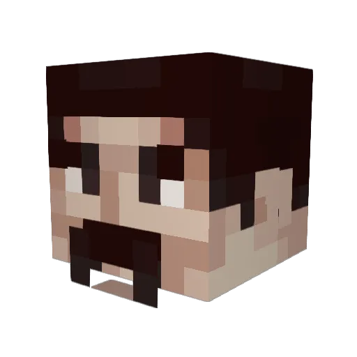 Lucas467 Minecraft avatar head, 3D render
