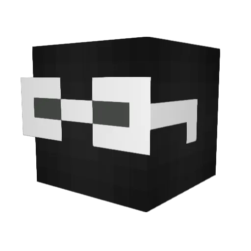 LucasAtom10 Minecraft avatar head, 3D render