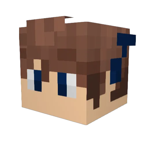 LucasGN Minecraft avatar head, 3D render
