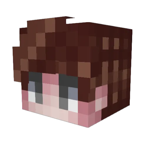 LucasGut Minecraft avatar head, 3D render