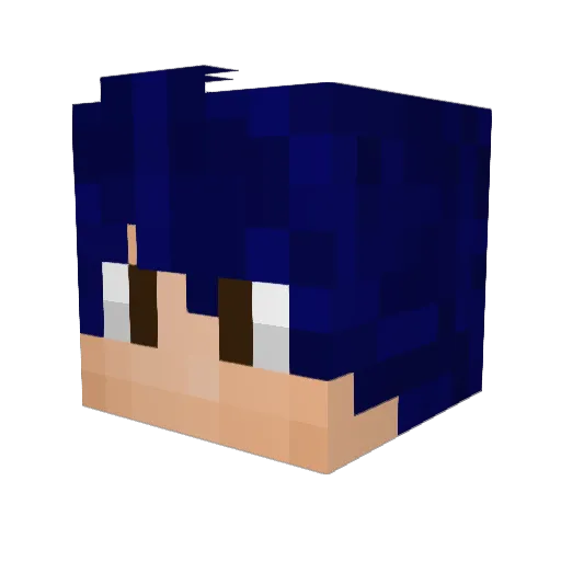 LucasInVader42 Minecraft avatar head, 3D render