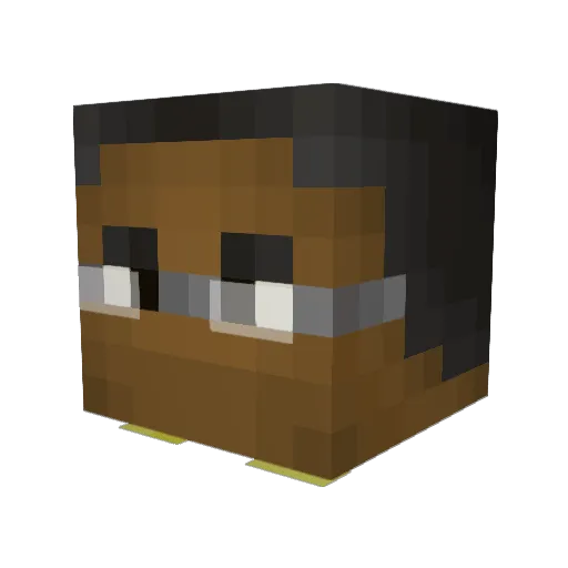 LucasKanitz Minecraft avatar head, 3D render