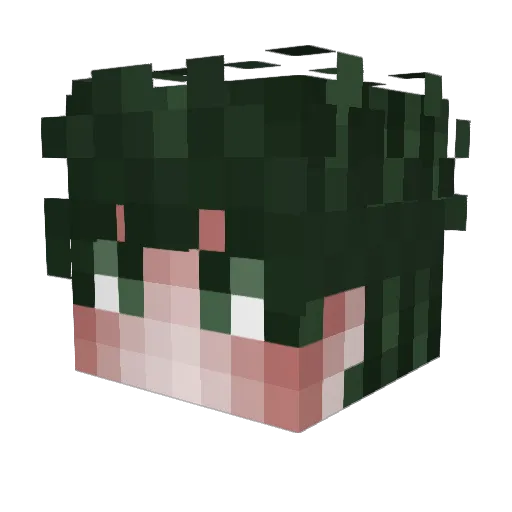 LucasLOL12 Minecraft avatar head, 3D render