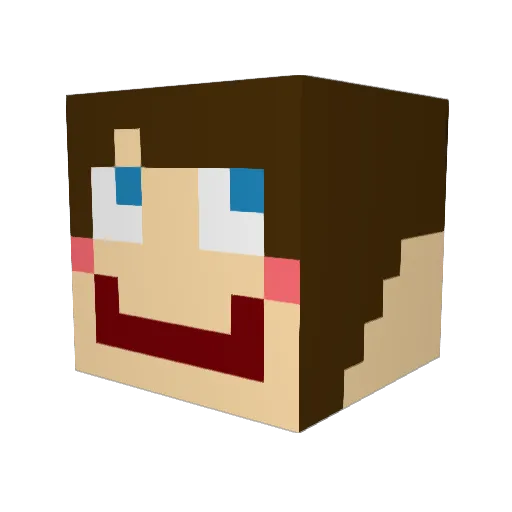 LucasPlayzFTW Minecraft avatar head, 3D render