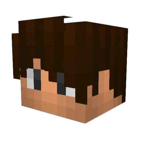 LucasPrh Minecraft avatar head, 3D render