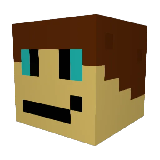 LucasRocks2006 Minecraft avatar head, 3D render