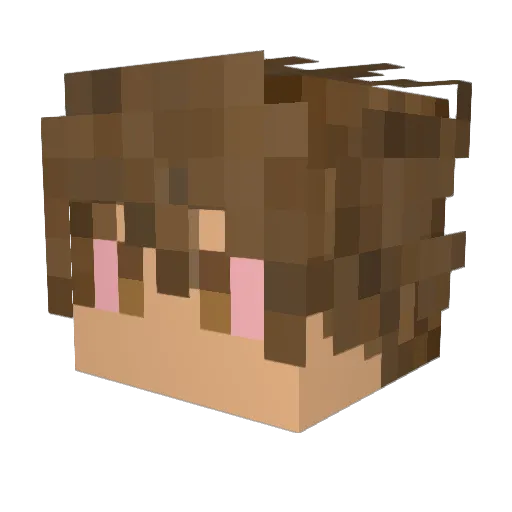 LucasRodgz Minecraft avatar head, 3D render