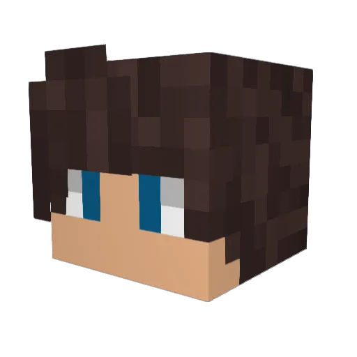 LucasSelzer Minecraft avatar head, 3D render