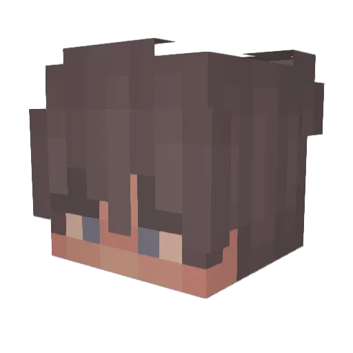 LucasSenpai Minecraft avatar head, 3D render