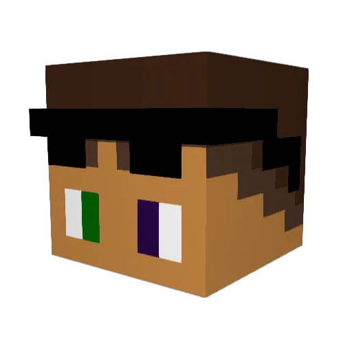 LucasSkywalker11 Minecraft avatar head, 3D render