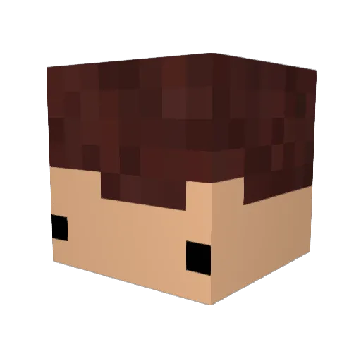 LucasTenorio Minecraft avatar head, 3D render