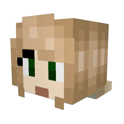 LucasTheStar Minecraft avatar head, 3D render