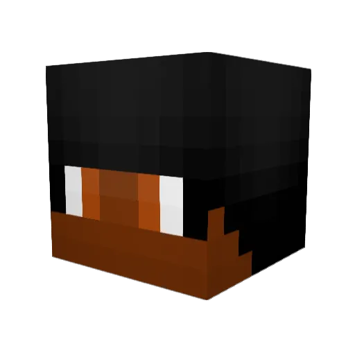 LucasTropoD Minecraft avatar head, 3D render