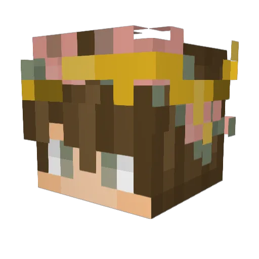 LucasVAZzz Minecraft avatar head, 3D render