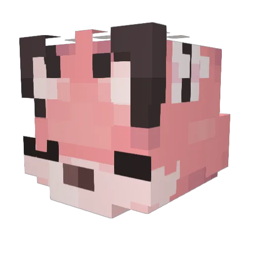 LucasWang1 Minecraft avatar head, 3D render