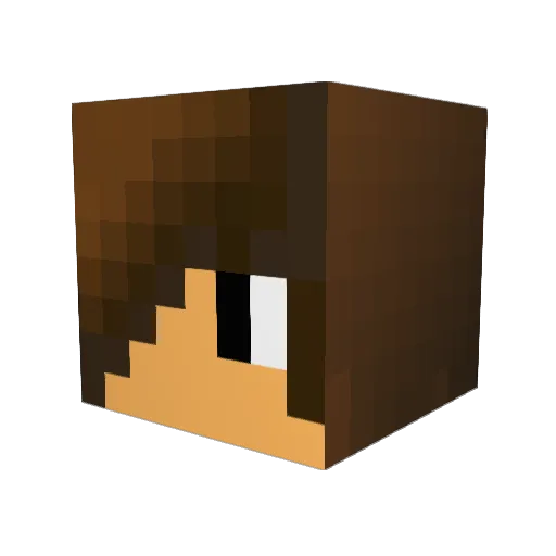 LucasWelis Minecraft avatar head, 3D render