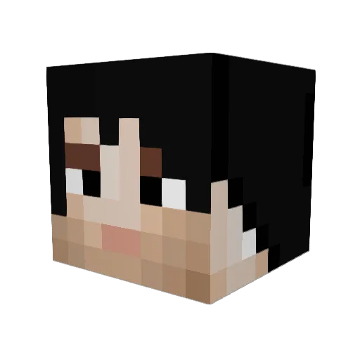 LucasZiBoss Minecraft avatar head, 3D render