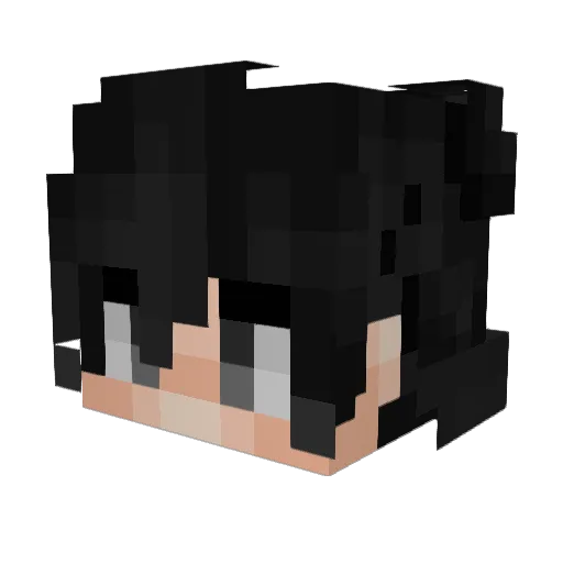 Lucas_10_LPGC Minecraft avatar head, 3D render