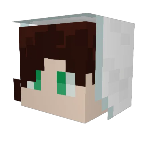 Lucas_134 Minecraft avatar head, 3D render