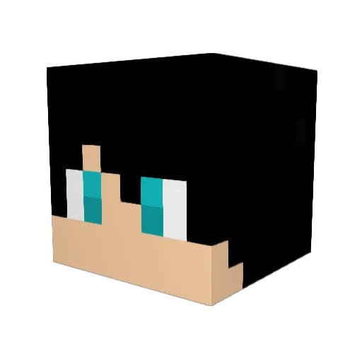 Lucas_235 Minecraft avatar head, 3D render
