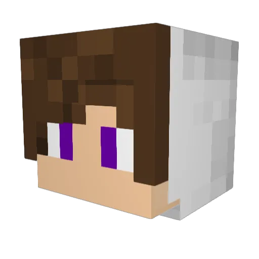 Lucas_5792 Minecraft avatar head, 3D render