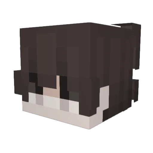 Lucas_AR1 Minecraft avatar head, 3D render