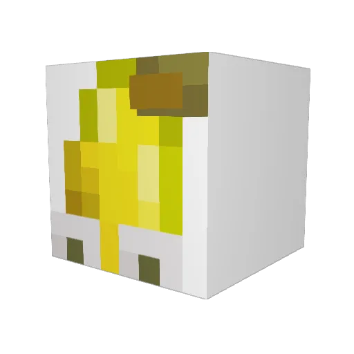 Lucas_BBJ Minecraft avatar head, 3D render