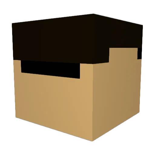 Lucas_Hi Minecraft avatar head, 3D render