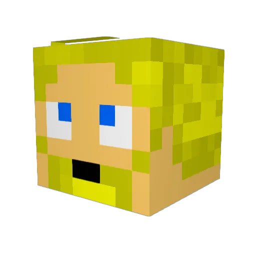 Lucas_NZL Minecraft avatar head, 3D render