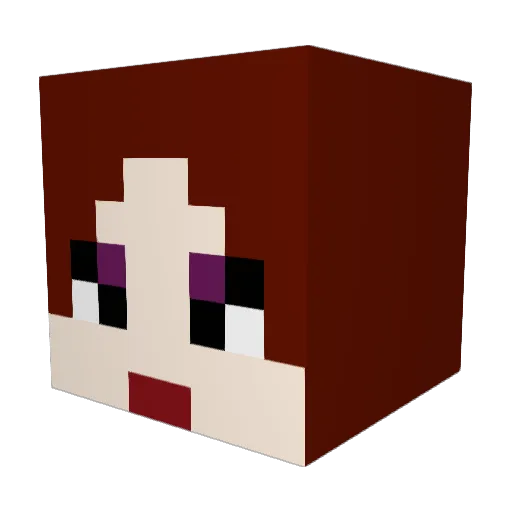 Lucas_Taylor123 Minecraft avatar head, 3D render