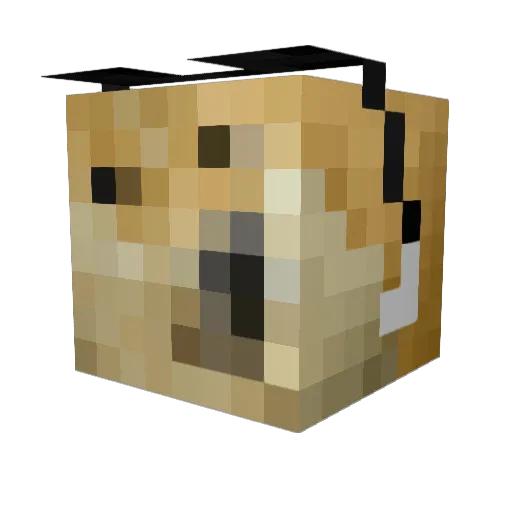 Lucas_The_Doge Minecraft avatar head, 3D render
