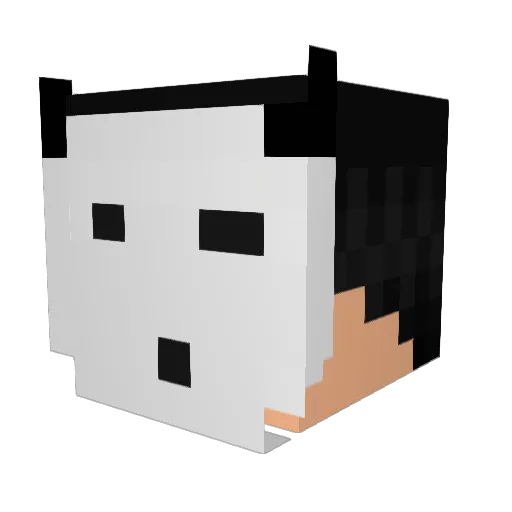 Lucas__13__ Minecraft avatar head, 3D render