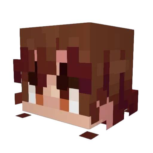 Lucas___17 Minecraft avatar head, 3D render