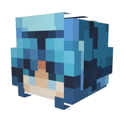 Lucas_dollar Minecraft avatar head, 3D render