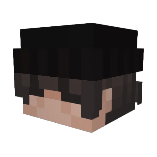 Lucascrvc33 Minecraft avatar head, 3D render