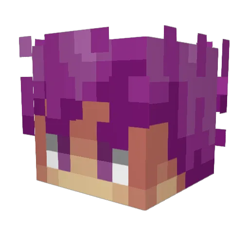 Lucasgo19 Minecraft avatar head, 3D render