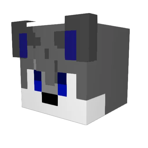 Lucasltcc Minecraft avatar head, 3D render
