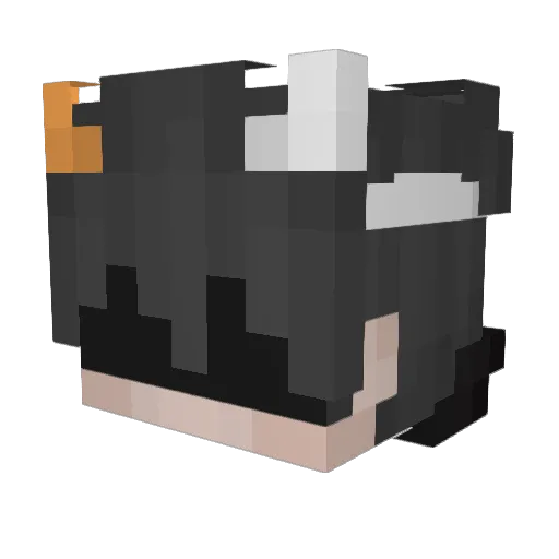 Lucasselespieds Minecraft avatar head, 3D render