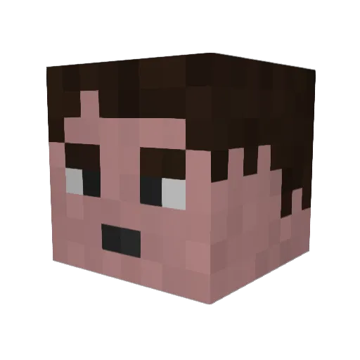 Lucasskywatcher Minecraft avatar head, 3D render