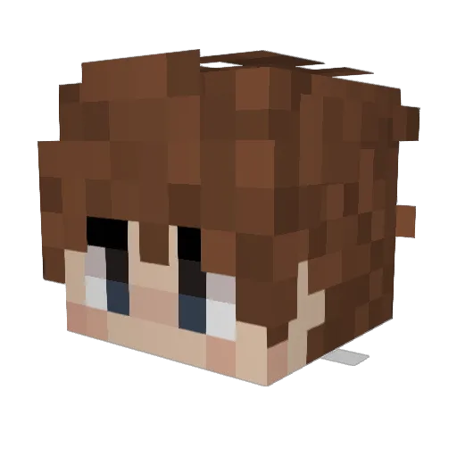 Lucassommer03 Minecraft avatar head, 3D render