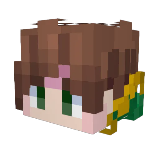 Lucassteijn Minecraft avatar head, 3D render