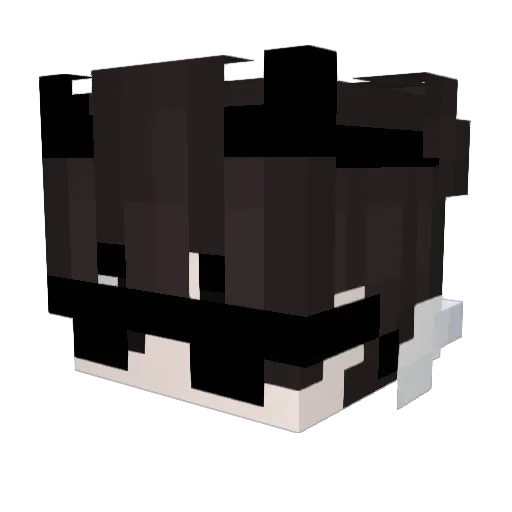 Lucastar21hg Minecraft avatar head, 3D render