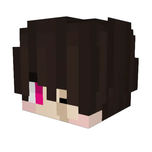 Lucasweb55 Minecraft avatar head, 3D render