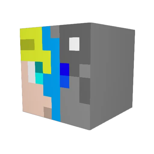 Lucaswolfje Minecraft avatar head, 3D render