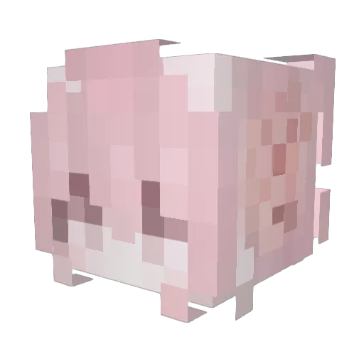 LucasyNc Minecraft avatar head, 3D render