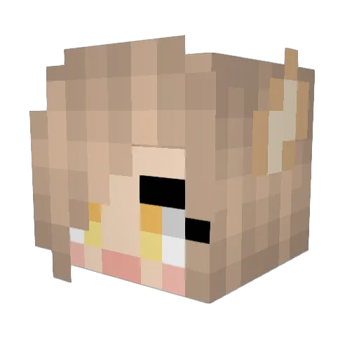 Lucazororoc Minecraft avatar head, 3D render