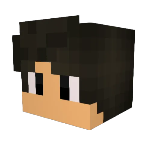 Lucc4 Minecraft avatar head, 3D render