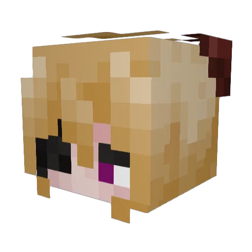 Luceert Minecraft avatar head, 3D render